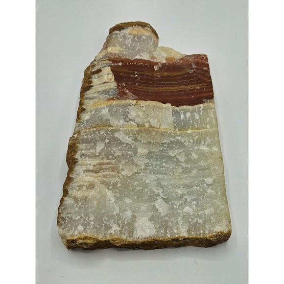 Parrot hand painted on polished slate Signed Tijuana 85 - Picture 5 of 10